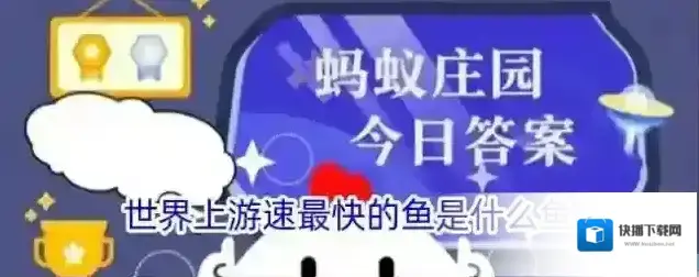 世界上游速最快的鱼是什么鱼