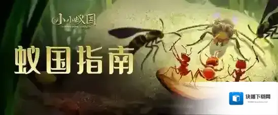 小小蚁国各类场景阵容推荐攻略