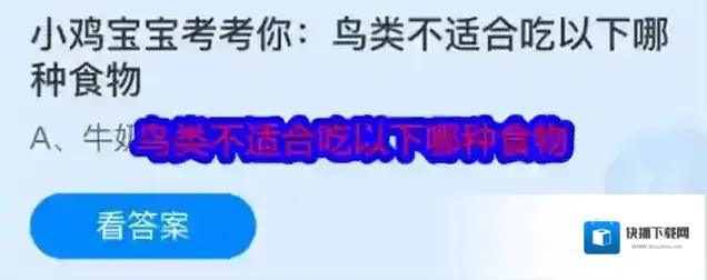 小鸡宝宝考考你：鸟类不适合吃以下哪种食物