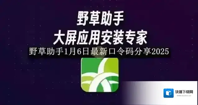 野草助手影视