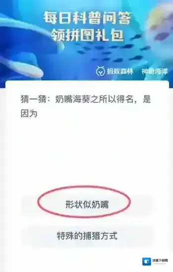 支付宝答题