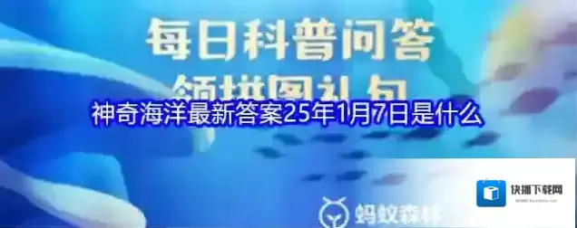 支付宝奶嘴