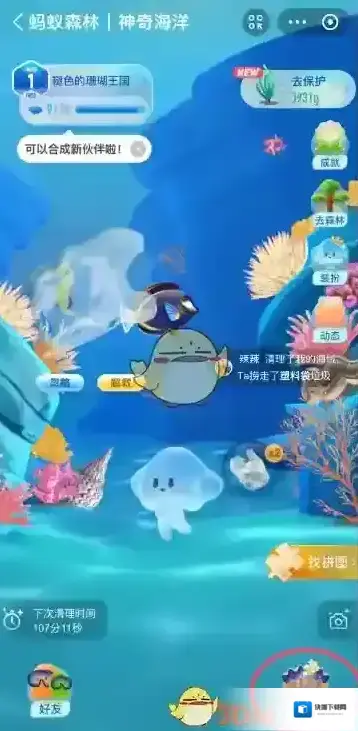 支付宝海葵