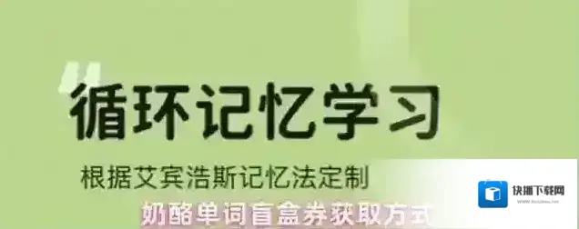 奶酪单词盲盒
