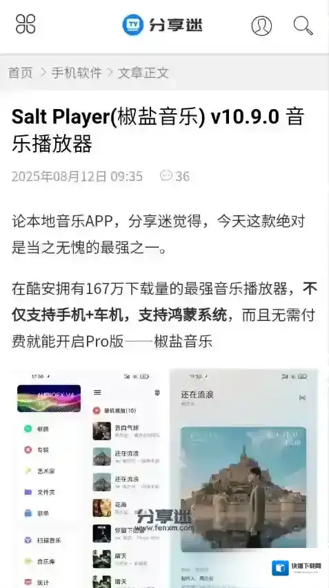 分享迷下载