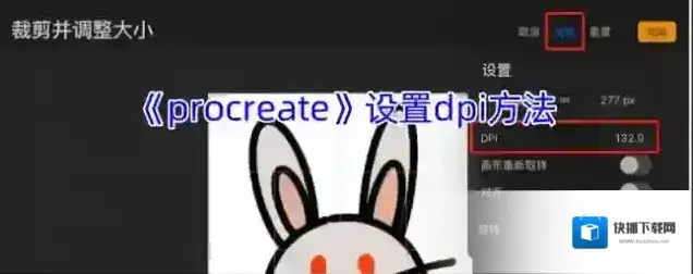 procreate画布