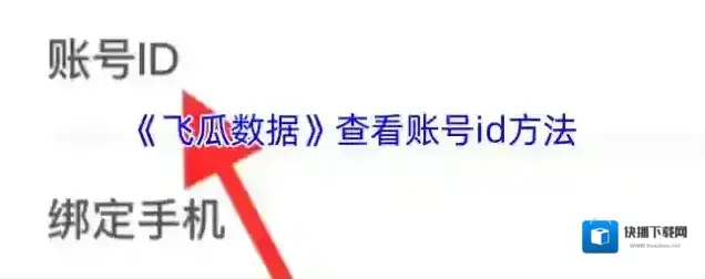 飞瓜数据查看