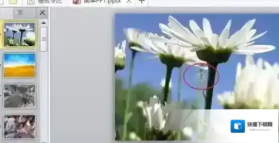 音乐设置