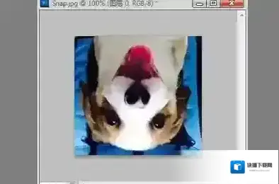 图层旋转