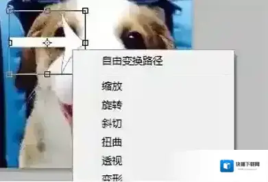图层变换