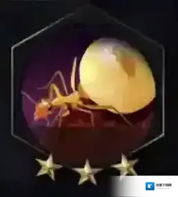小小蚁国科技