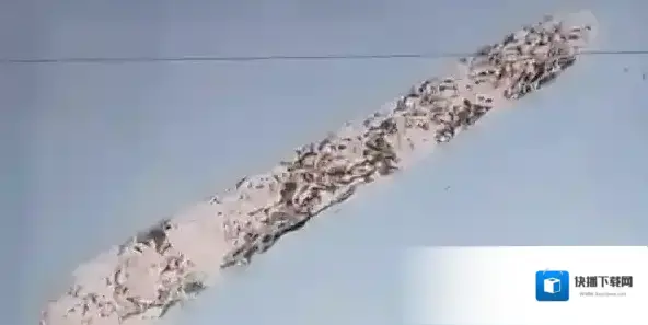 收纳物语物语