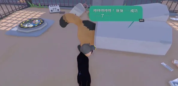 小猫咪大城市大城市