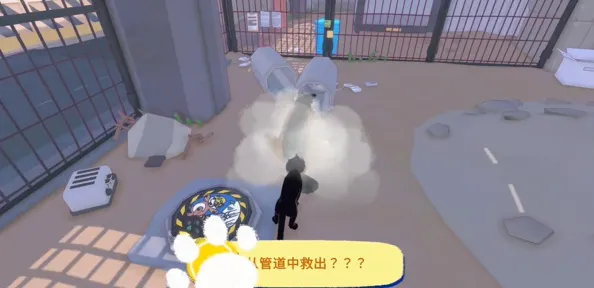 小猫咪大城市来到