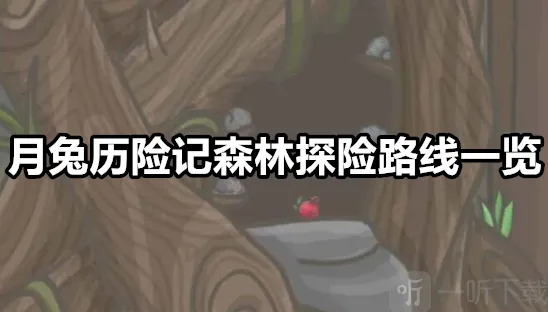 月兔历险记森林探险路线是什么 月兔历险记森林探险路线一览