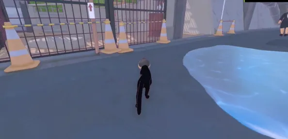 小猫咪大城市小猫咪