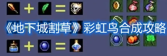 地下城割草彩虹鸟