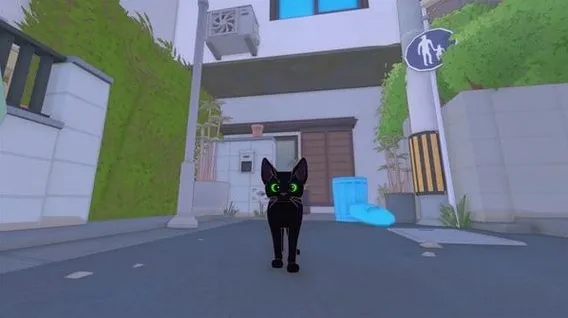 小猫咪大城市就能