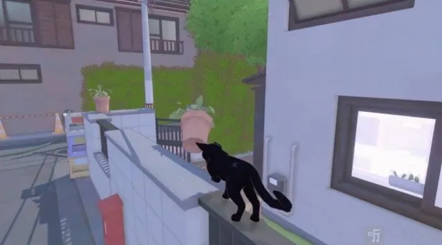 小猫咪大城市小猫咪