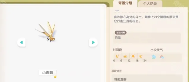 心动小镇彩虹