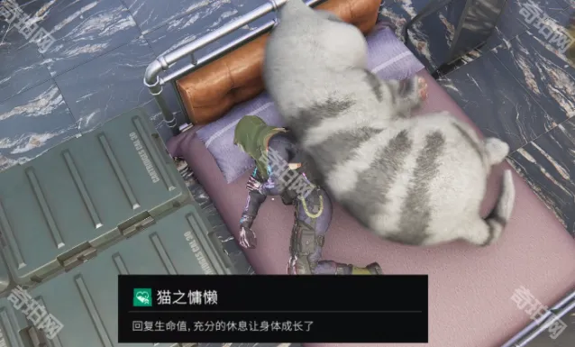七日世界迈尔