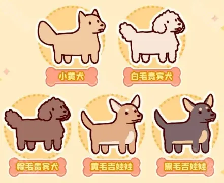 我的休闲时光宠物领养