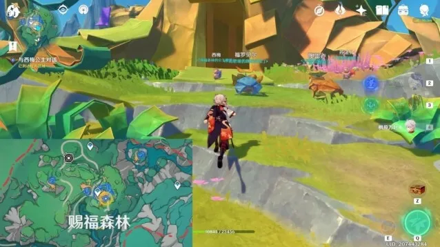 原神公主