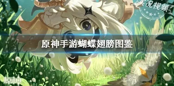 蝴蝶翅膀获取攻略：《原神》炼金材料指南