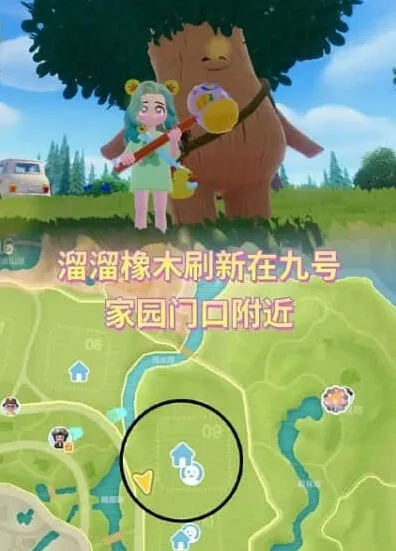 心动小镇橡木