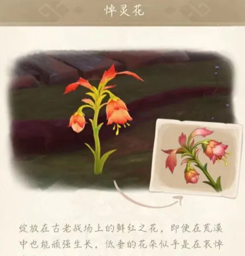 原神灵花