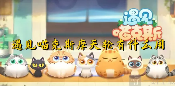 遇见摩天轮用处指南