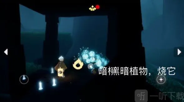 光遇介绍