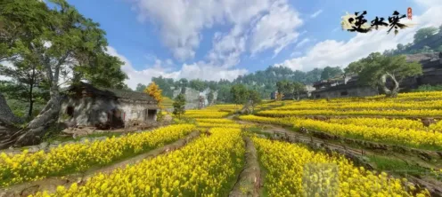 逆水寒隐藏身份