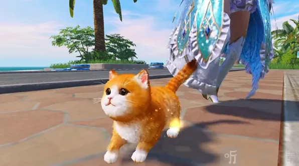 《和平精英》修改猫咪名字全攻略