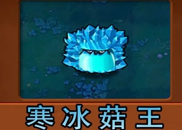 植物大战僵尸碎片