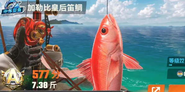 欢乐钓鱼大师技巧