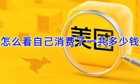 《美团》如何查看美团消费总额实用技巧