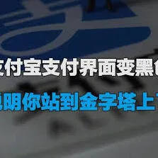 《支付宝》：页面变成黑色指南