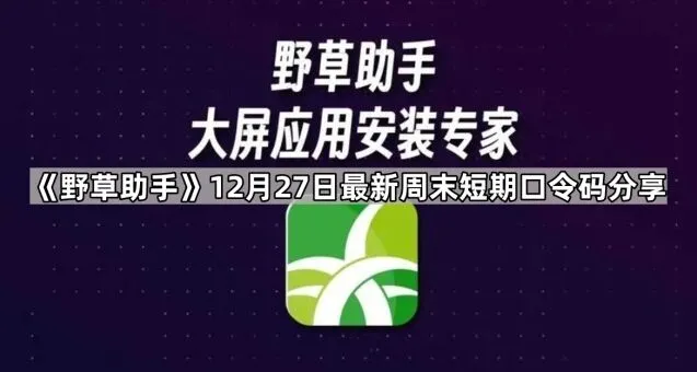 《夸克》12月27日最新周末短期口令码分享操作指南