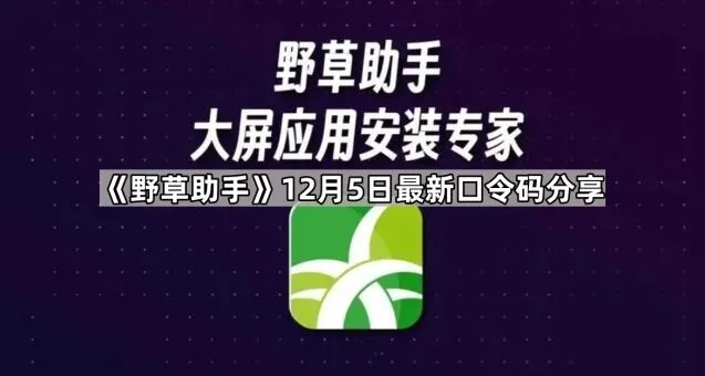 央视频野草