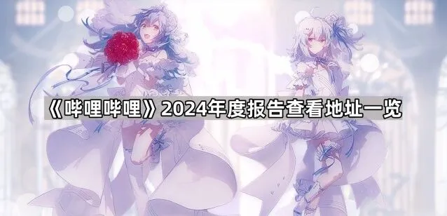 《哔哩哔哩》2024年度报告查看地址详细教程