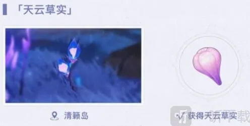 原神雷电将军养成材料详细攻略