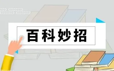 torrentkitty电影下载地址使用步骤教程