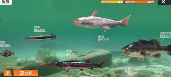 欢乐钓鱼大师欢乐钓鱼