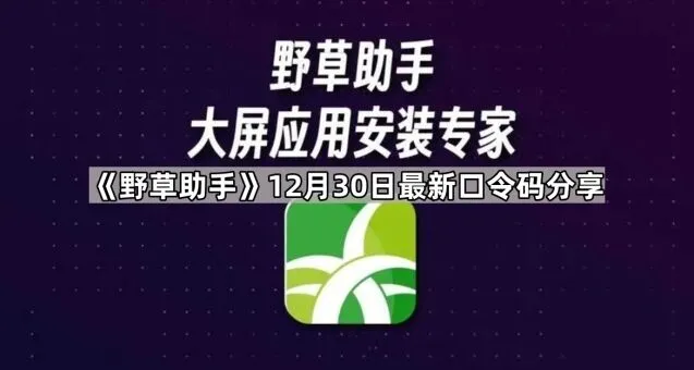 《野草助手》12月30日最新口令码分享实操指南