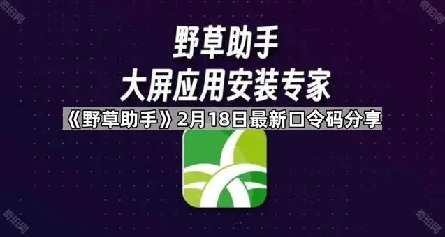 《TA》最新口令码分享使用教程