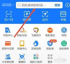 《支付宝》ios查看健康码URL代码指南