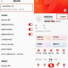 全民K歌访问权限控制技巧分享