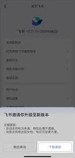 飞书版本号