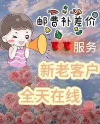 支付宝结清